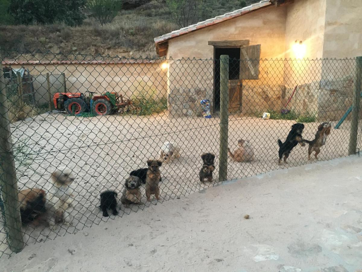 El Chozo Villa Fuentiduena Bagian luar foto